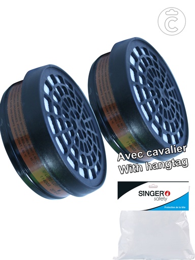 [C2755A] 2 FILTRES A1 PR DM 756
