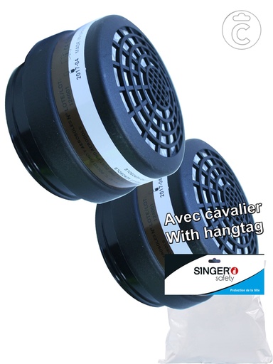 [C2755A1P] 2 FILTRES A1P3 POUR DM756