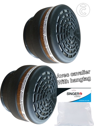 [C2755A2P] 2 FILTRES A2P3 POUR DM756